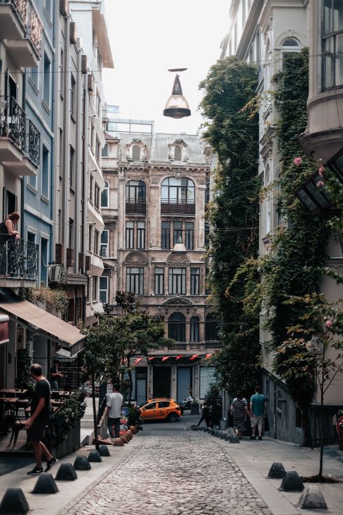 Free Quaint European street lined with vines and classic buildings, featuring cobblestone and vibrant urban life. Stock Photo