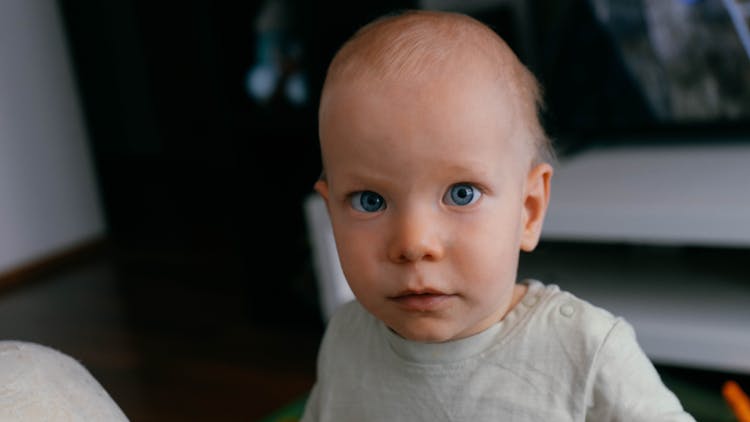 Cute Toddler In Gray Shirt Close-Up Photo