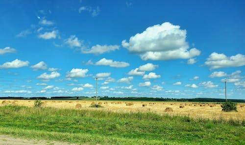 Free Hay Field Under Blue Sky and White Clouds Stock Photo