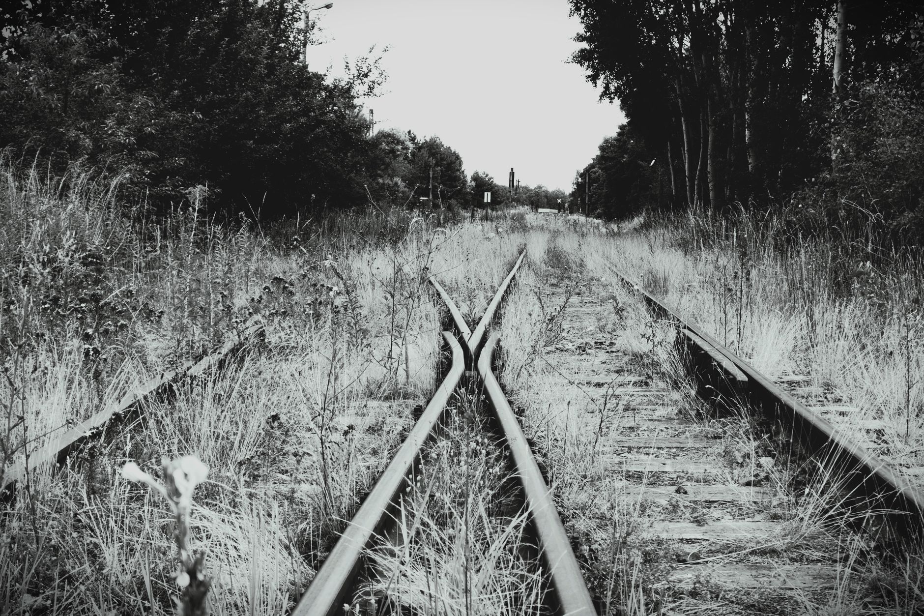 Hollanda'da tren rayları