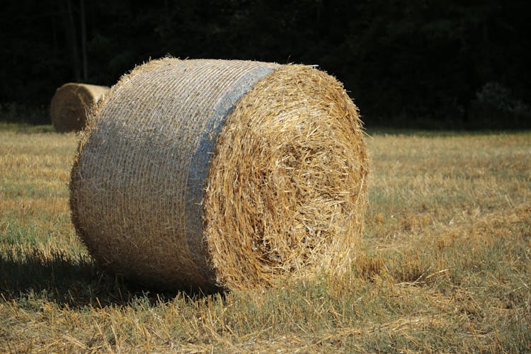 Hay Bale On Brown And Green Grass Field