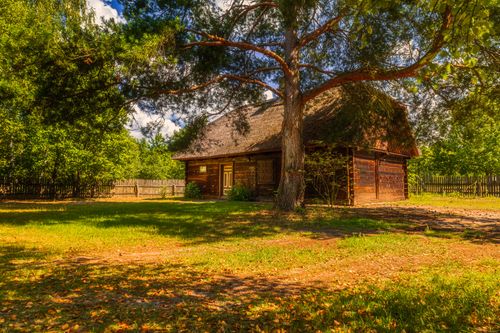 Free Charming wooden cabin nestled in a tree-lined, sunlit countryside. Stock Photo
