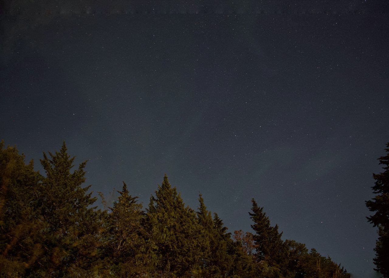 a serene starry night sky above a dense forest in umbria italy showcas