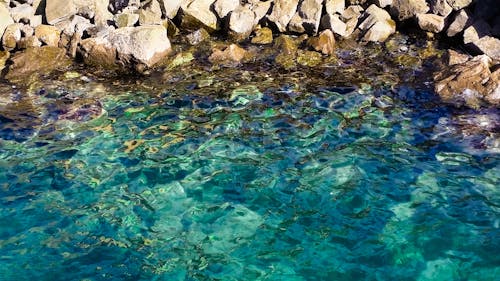 Free stock photo of blue water, boulders, breakwater