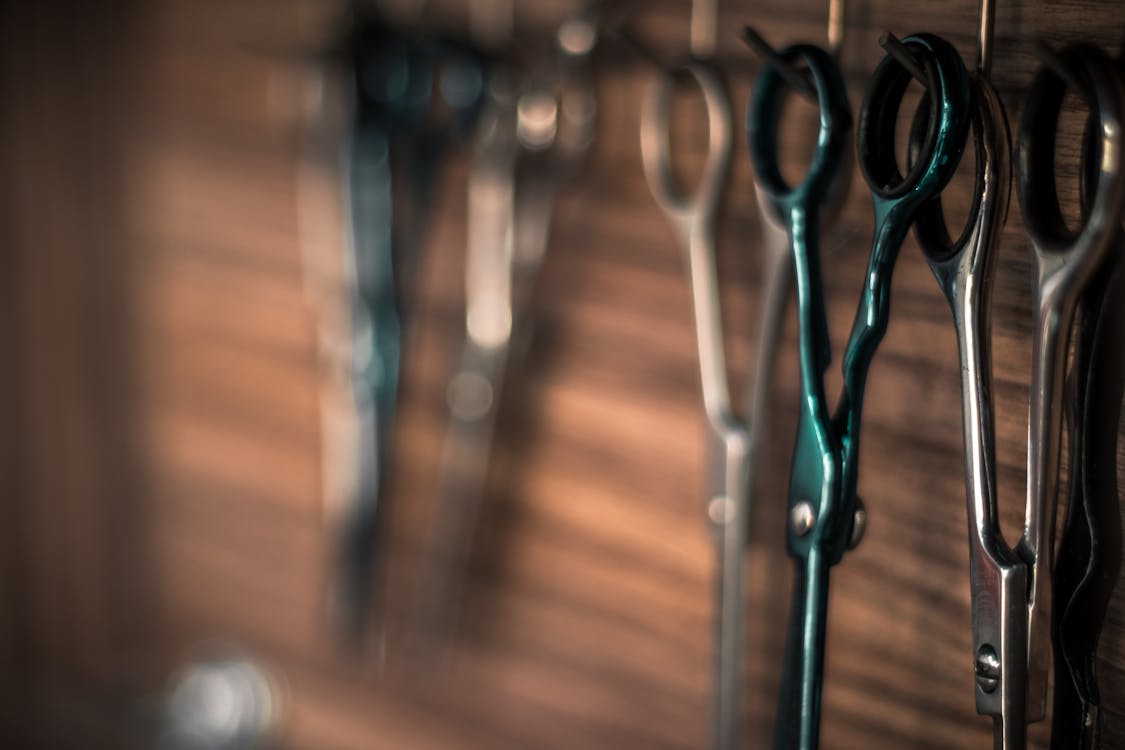 Free Blue and Silver Scissors Stock Photo