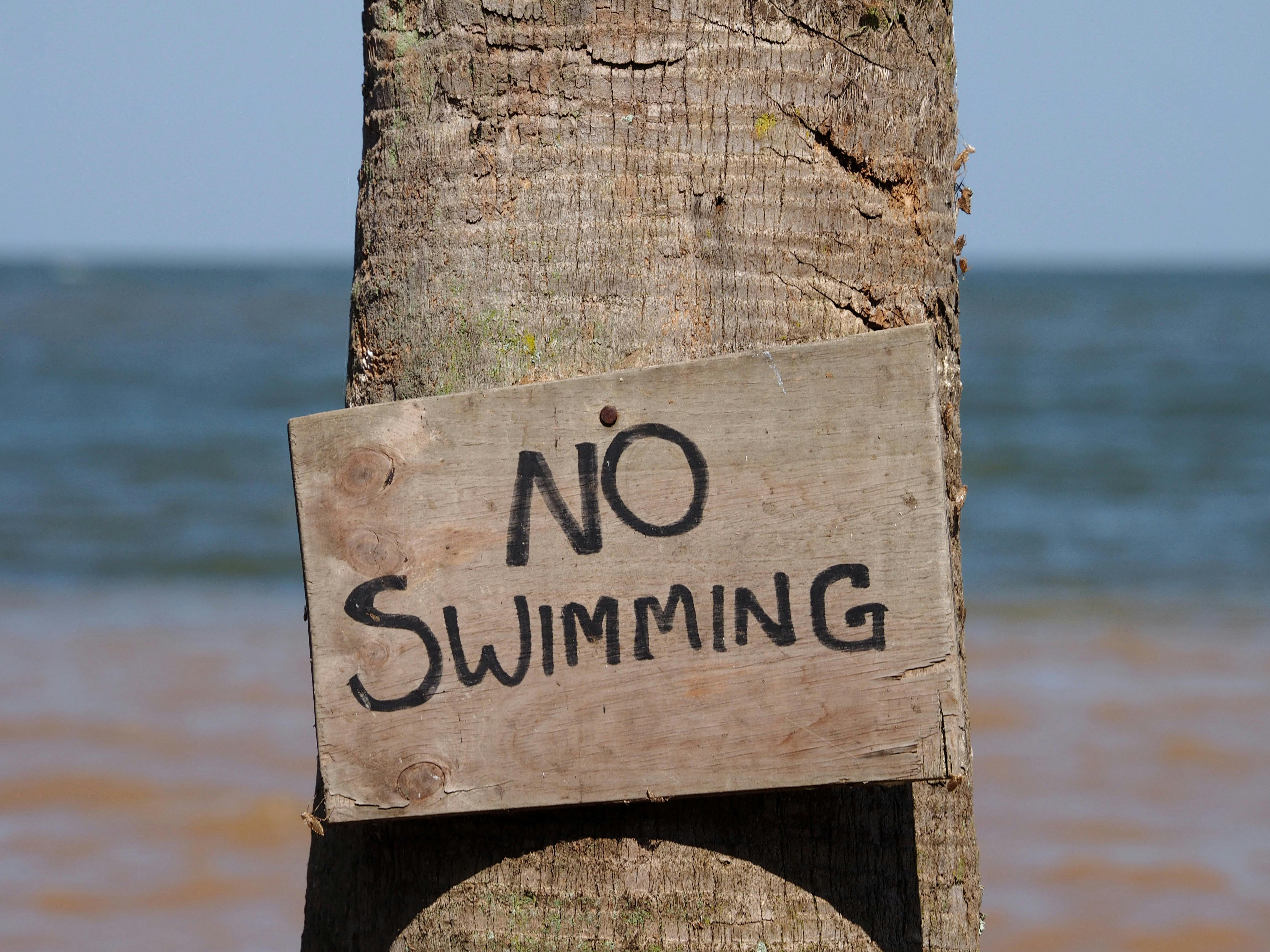 Legacy preference bans may not increase college diversity, researchers say - Phys.org — Photo by Timon Cornelissen on Pexels