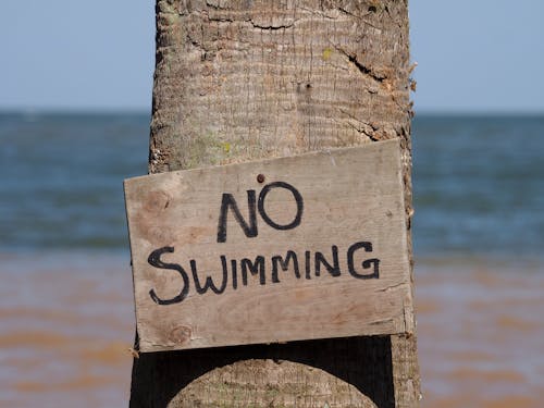 Signage on Brown Tree Trunk