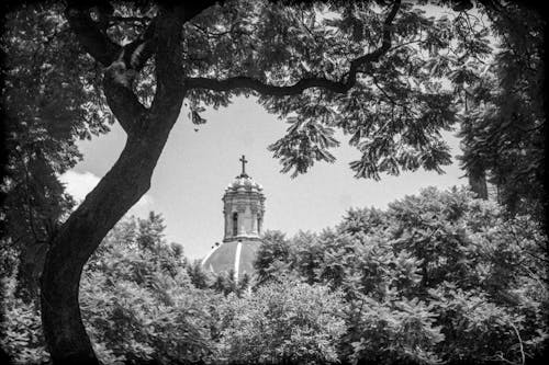 Grayscale Photo of a Church Tower Behind Trees