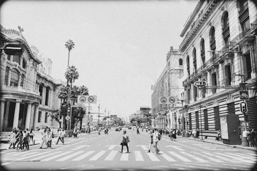 Free Grayscale Photography of People Crossing the Street Stock Photo