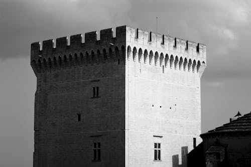 palais des papes, 궁전, 그레이스케일의 무료 스톡 사진