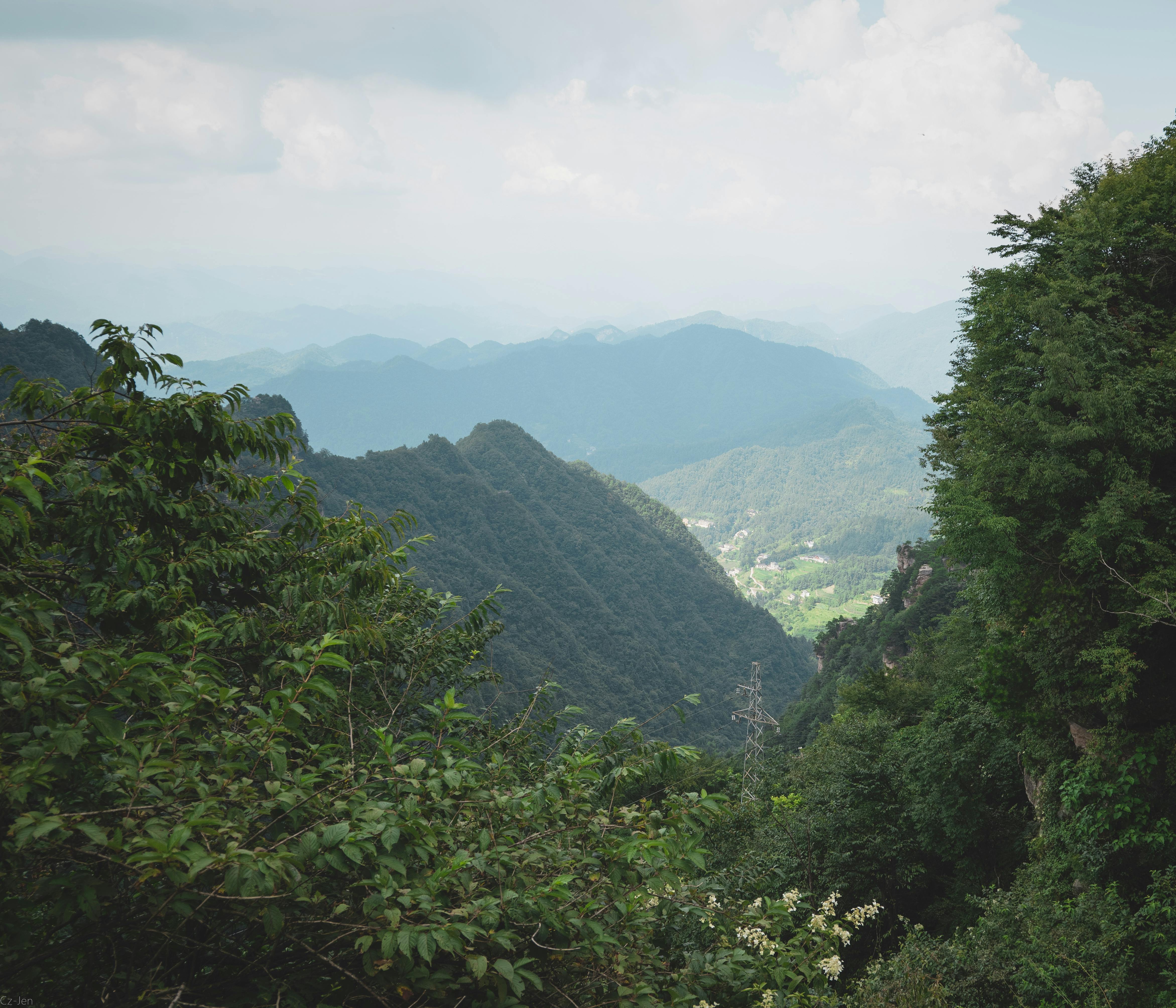 Foggy Mountain With Green Trees · Free Stock Photo