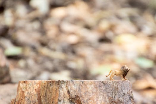 A miniature lion figurine on a tree stump with a blurred natural background.
