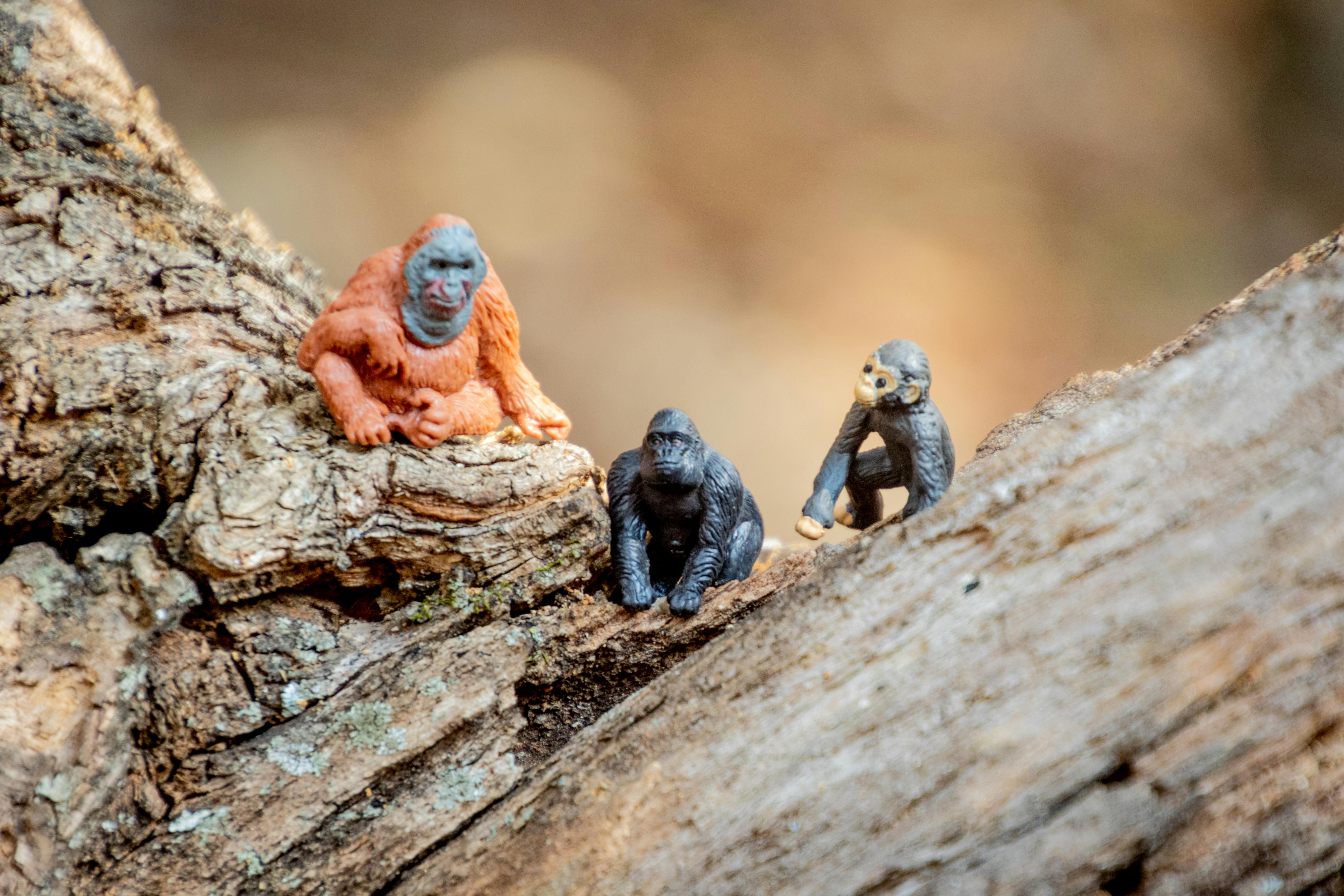 miniature monkey toy