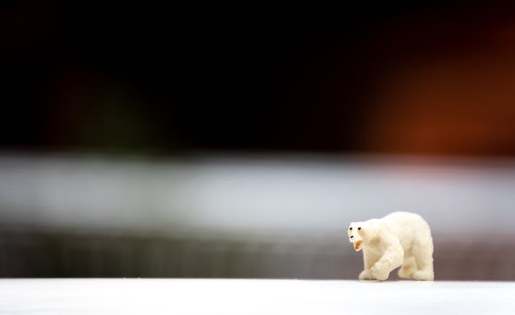 Depth Of Field Photo Of Polar Bear Figurine