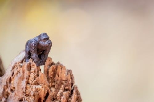 Kostnadsfri bild av gorilla, lutning/förskjutning, miniatyrleksak