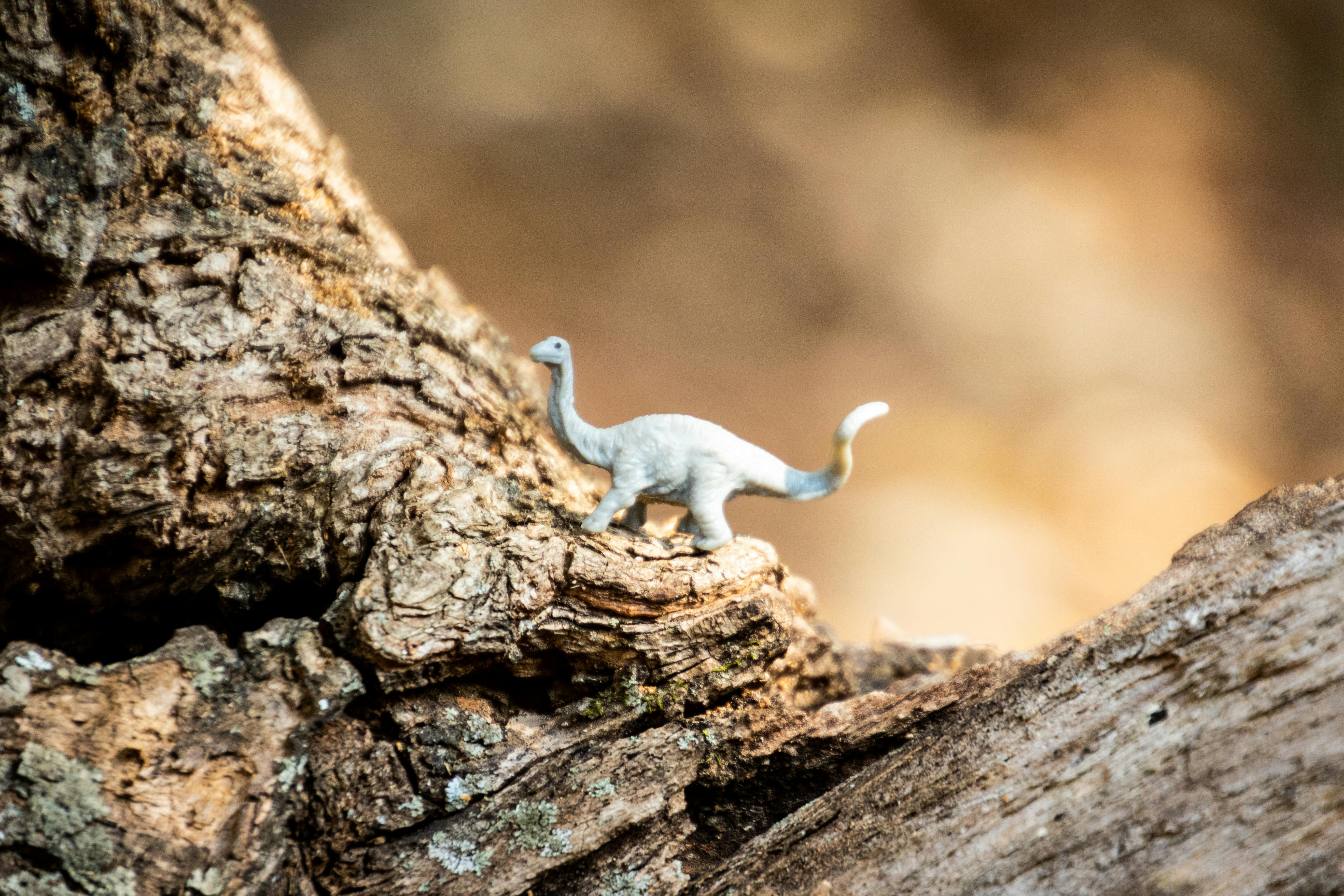 gray dinosaur toy on rock