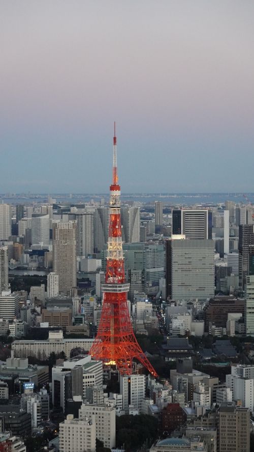 Free A stunning view of Tokyo cityscape featuring the illuminated Tokyo Tower standing tall at dusk. Stock Photo