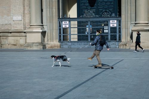 Free Person skateboarding with their dog on a leash in Zaragoza, Spain. Stock Photo
