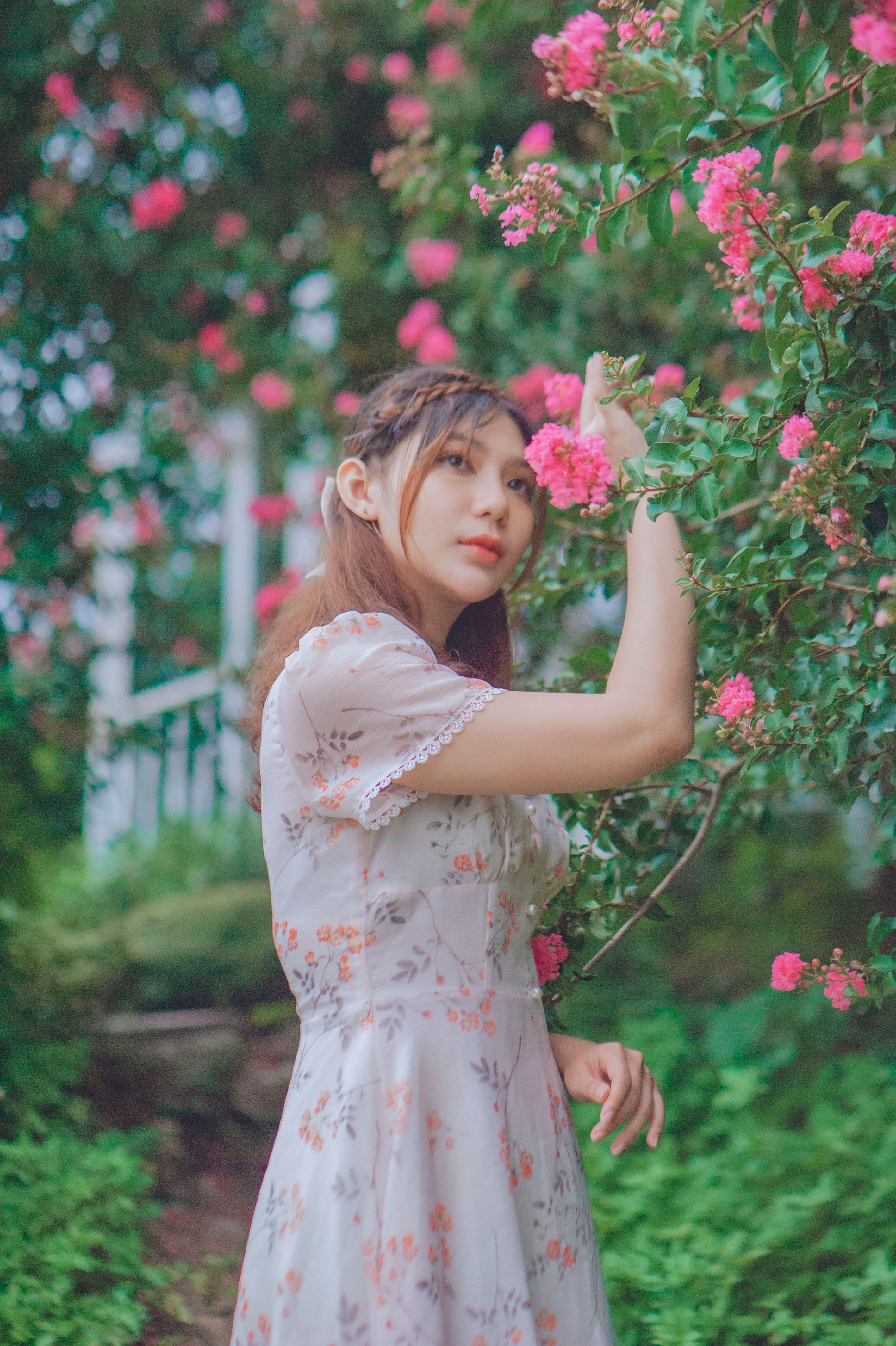 A Woman in Pink Floral Dress Standing Beside Pink Flowers · Free Stock ...