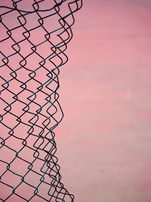 Ücretsiz ağ, çit, Demir içeren Ücretsiz stok fotoğraf Stok Fotoğraflar
