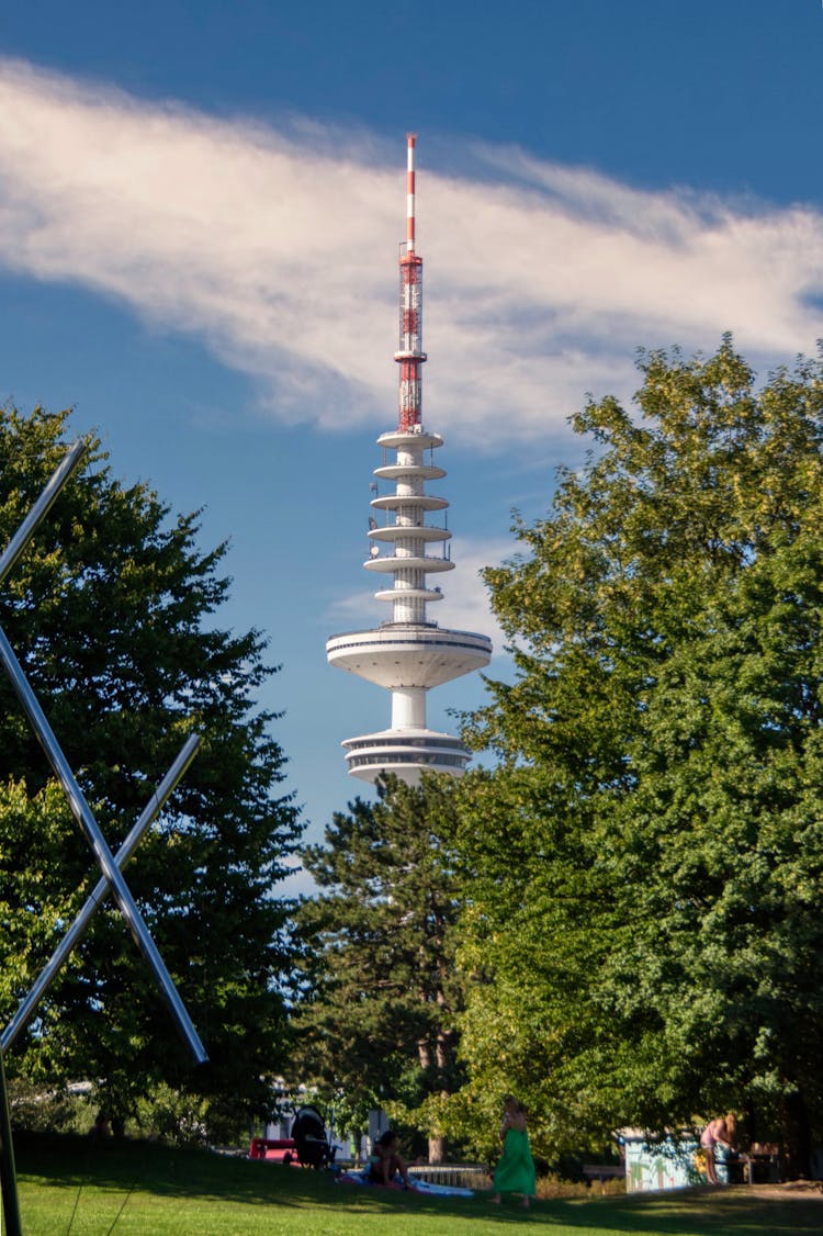 Green Trees Near A Television Tower