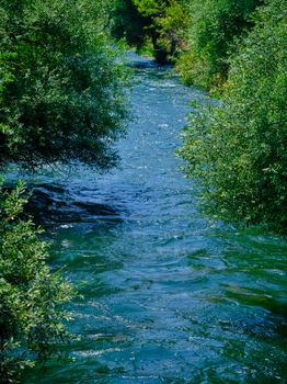 A tranquil river flows between vibrant green shrubs, creating a peaceful natural scene.