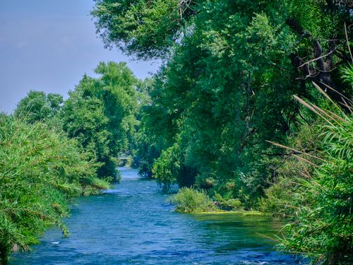 Free Serene landscape of a river flowing through lush green forest under a clear blue sky. Stock Photo