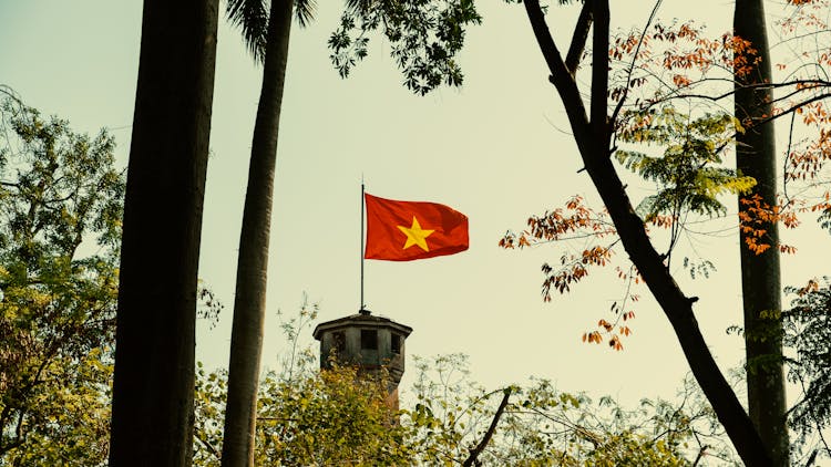 Vietnam Flag On Flagpole Near Trees 