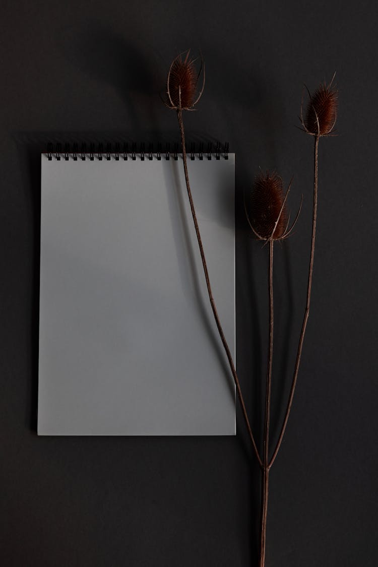 Blank Sketchpad Notebook With Dried Flowers