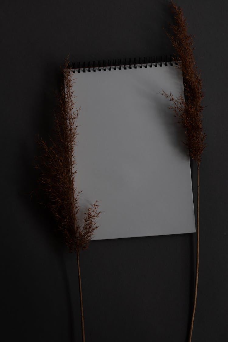 Blank Sketchpad Notebook With Dried Flowers