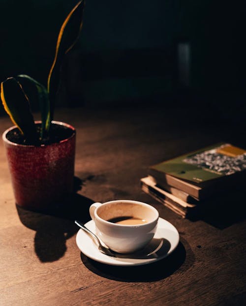 Cup of Coffee Beside Books and Plant