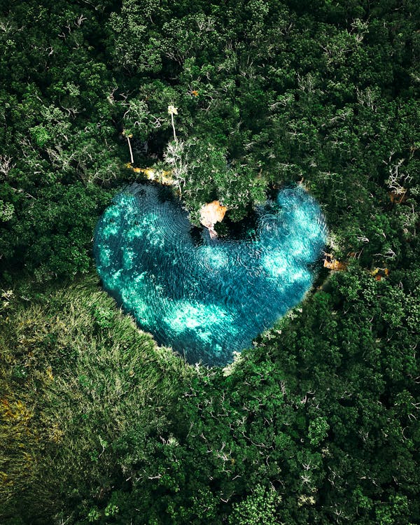 Kostnadsfri bild av cenote corazon del paraiso, design, drönarbilder