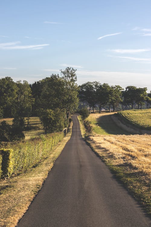 Gray Asphalt Road Between Green Grass Field