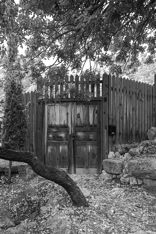 Imagine de stoc gratuită din alb-negru, fotografiere verticală, gard de lemn