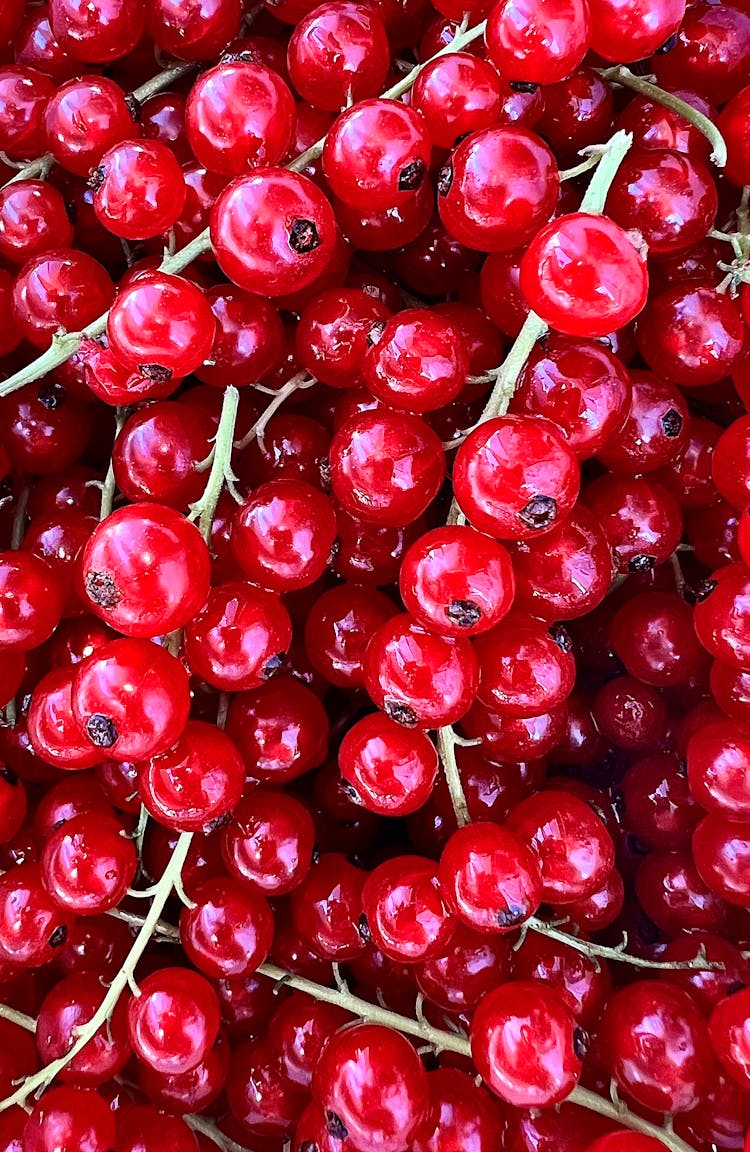 Pile Of Red Berries