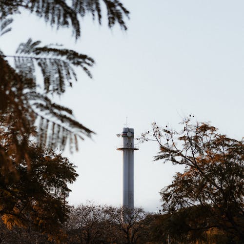 Безкоштовне стокове фото на тему «Аргентина, буенос-айрес, вежа»