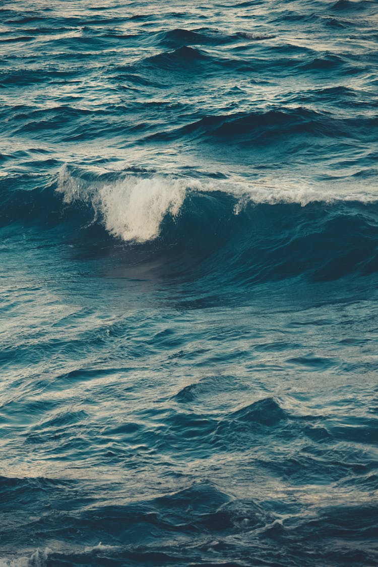 Blue Ocean Waves