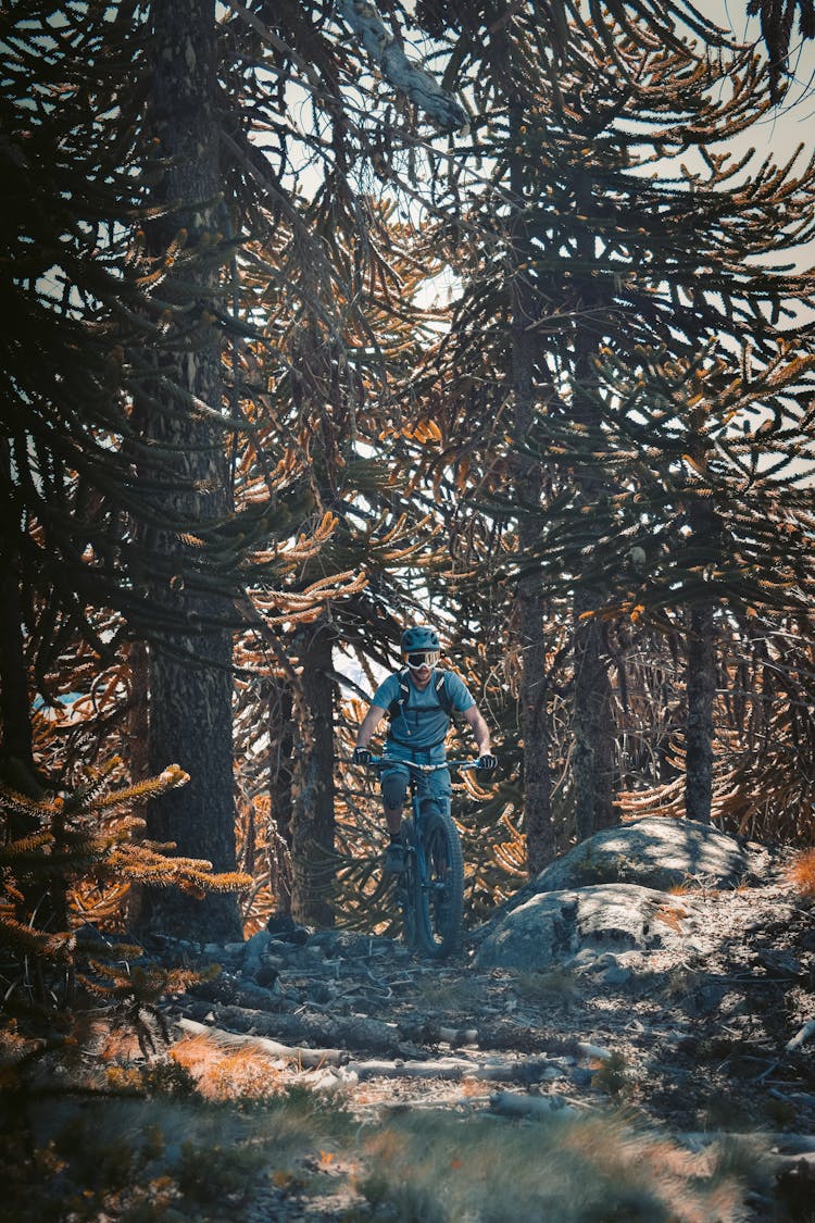 Man Riding Bike In Forest