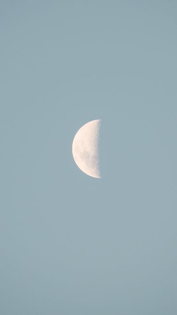 Stunning image of the half moon in a clear blue sky, capturing lunar details.