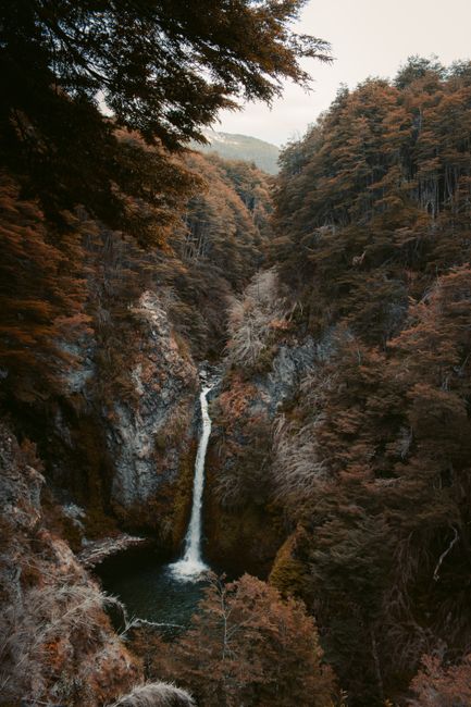 Stunning autumn waterfall flowing through a serene forest, creating a tranquil wilderness scene.