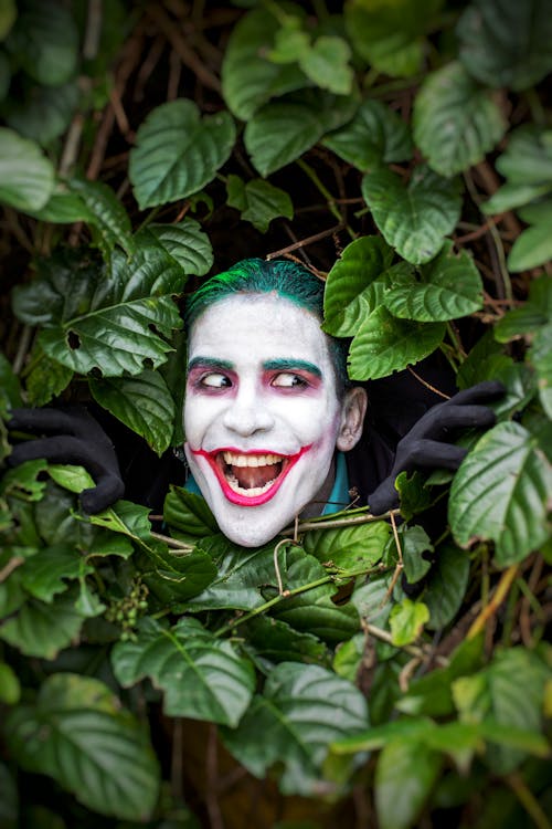 Man in a Costume of Joker Sticking His Head Through a Shrub 