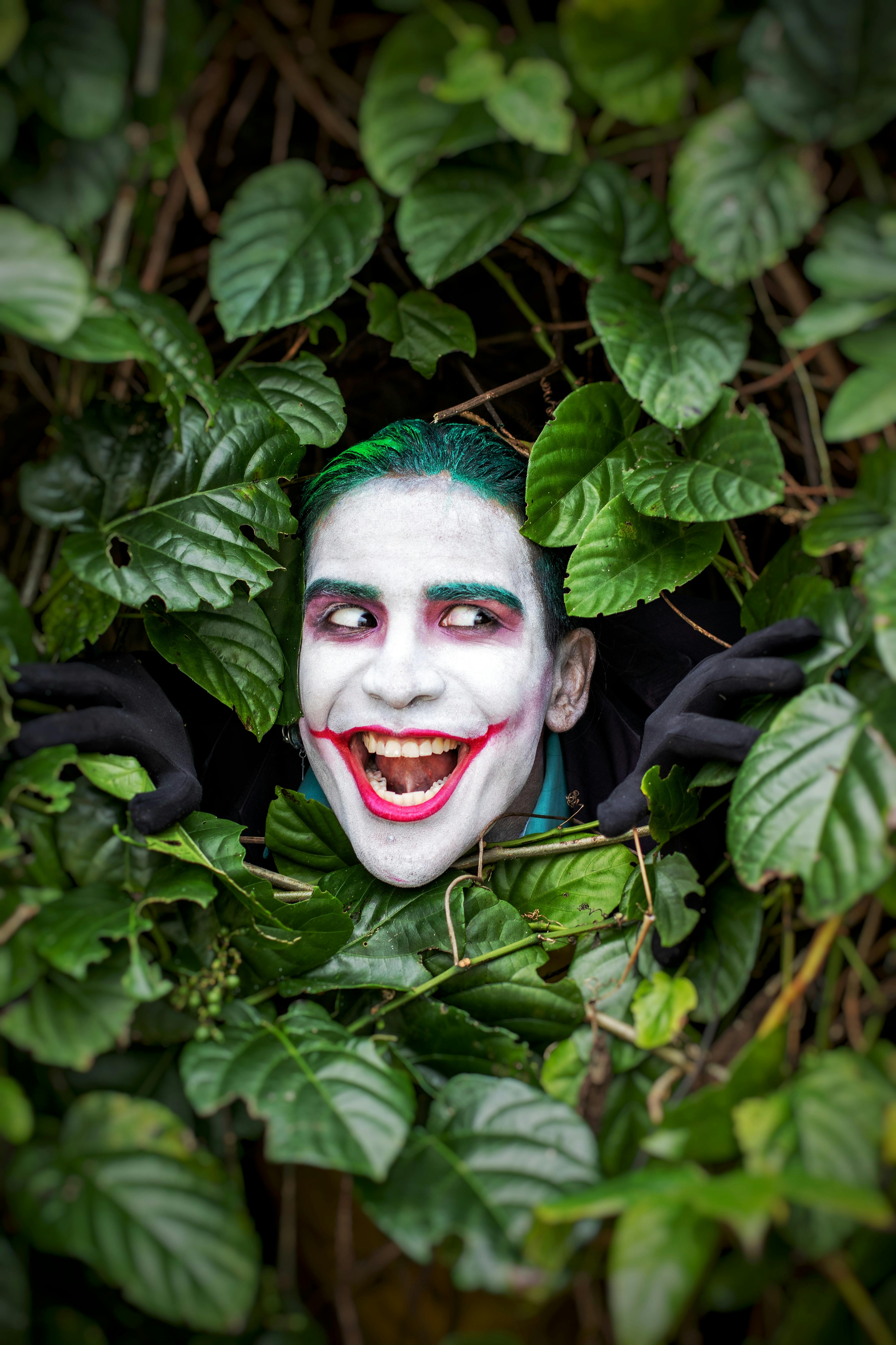 Joker Background Photos, Download The BEST Free Joker Background Stock  Photos & HD Images