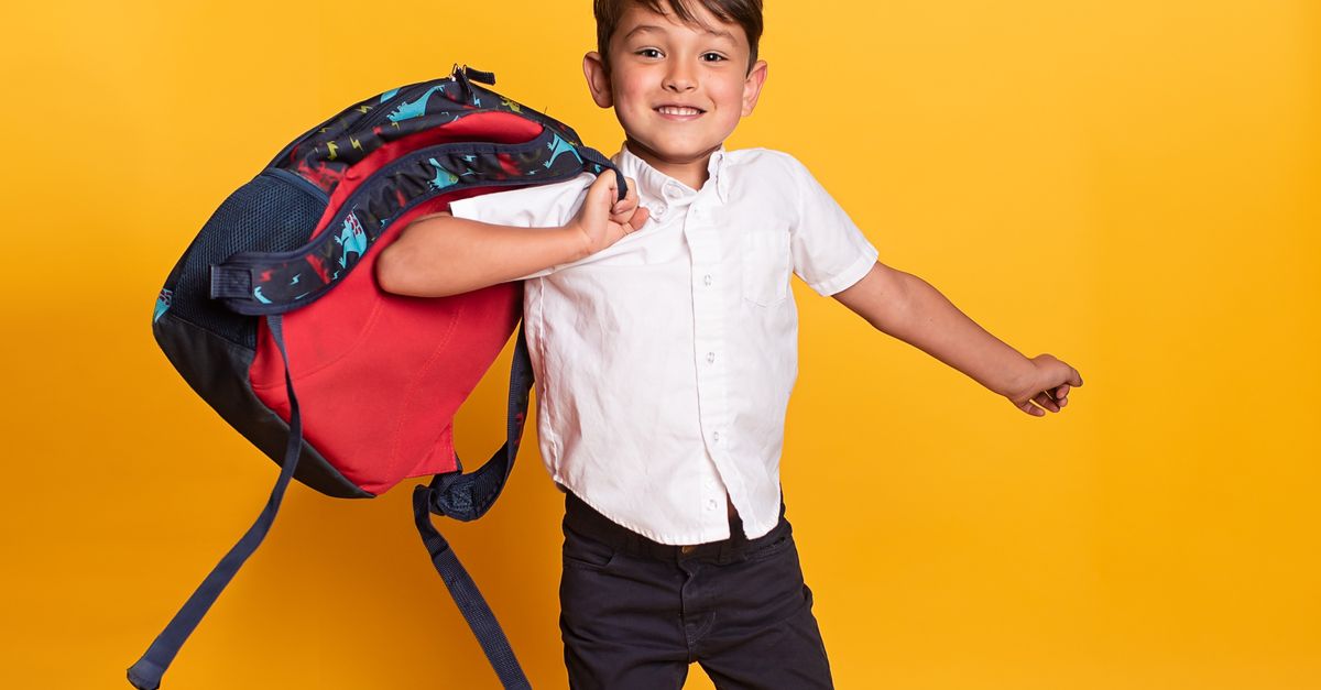 Student Using A Backpack A Student Holding a Backpack · Free Stock Photo