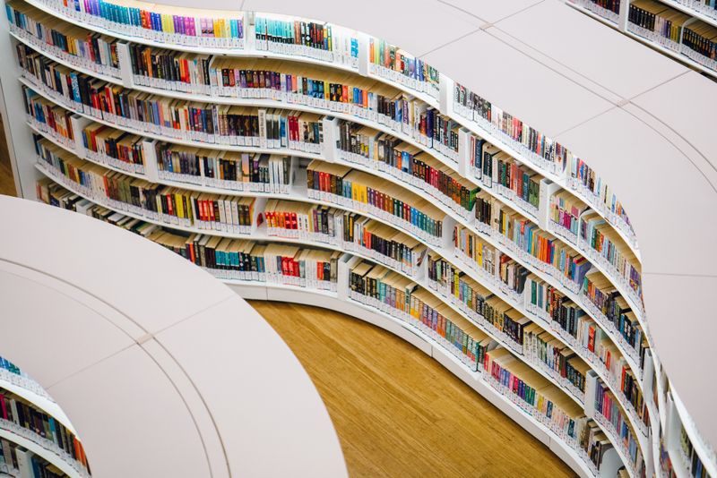 Revue de littérature - Livres universitaires