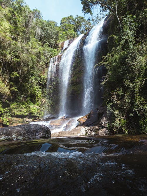 A Waterfalls Between Green Trees at the Forest