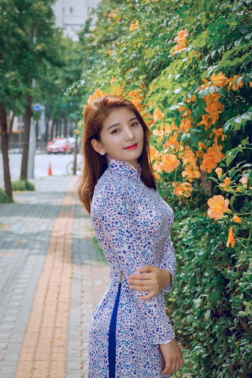 Immagine gratuita di abito, ao dai, bellezza