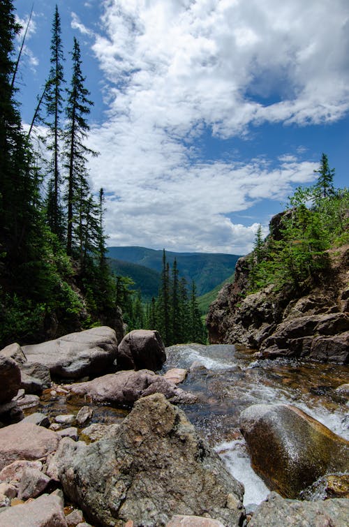 Rocks in Creek