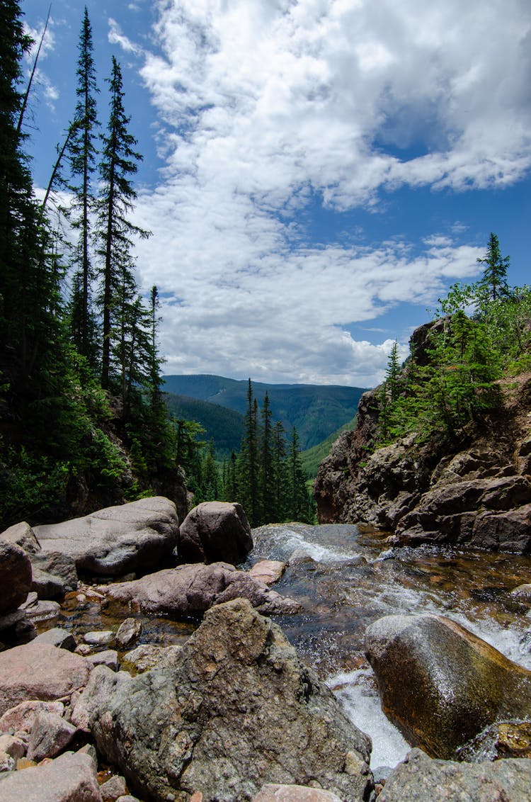 Rocks In Creek