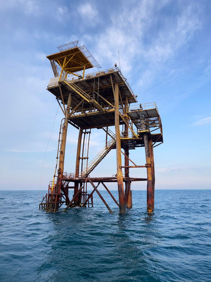 Vessel Chartering & Brokerage