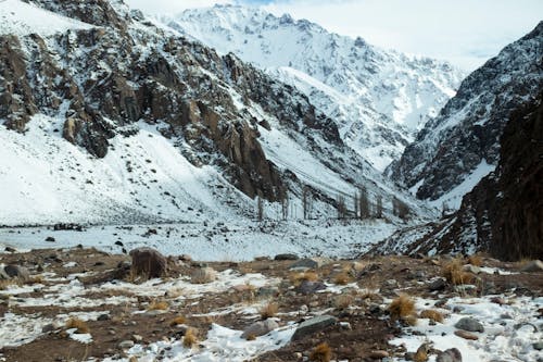 Fotos de stock gratuitas de cubierto de nieve, invierno, montaña